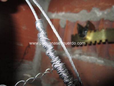 img_1458(453x340)magua